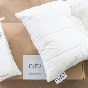 The NAP (Neck Alignment Pillow)