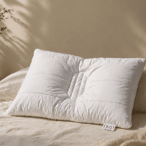 The NAP (Neck Alignment Pillow)